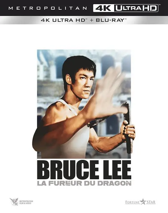 猛龙过江/猛龍過江 1972香港剧情喜剧动作片[8.4分] - 4K电影下载