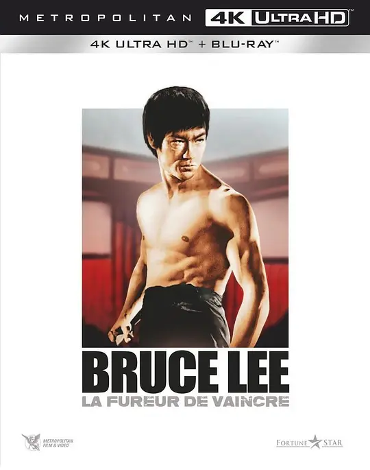 精武门/精武門 1972香港剧情动作爱情片[8.5分] - 4K电影下载