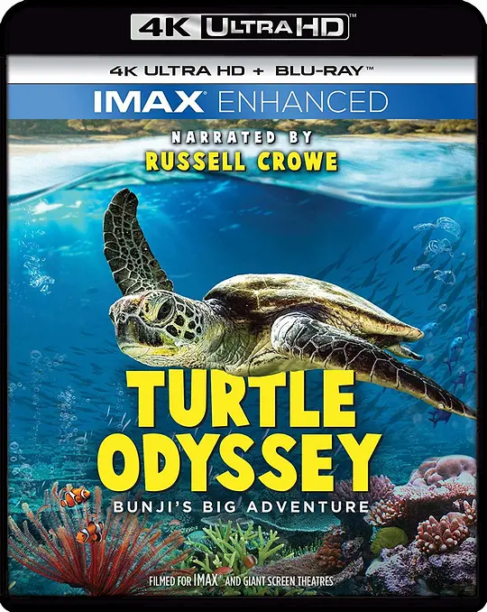 龟女士的奥德赛/Turtle Odyssey 2018澳大利亚纪录片片[8.1分] - 4K电影下载