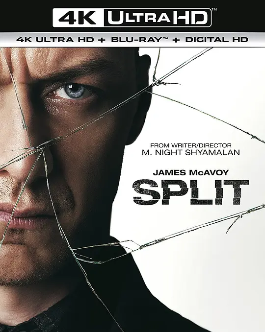 分裂/Split 2016美国悬疑惊悚犯罪片[7.4分] - 4K电影下载