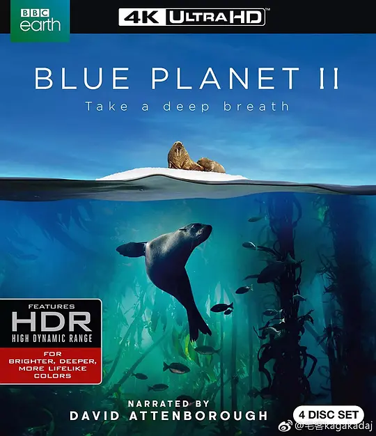 蓝色星球 第二季/Blue Planet 2017英国纪录片片[9.8分] - 4K电影下载