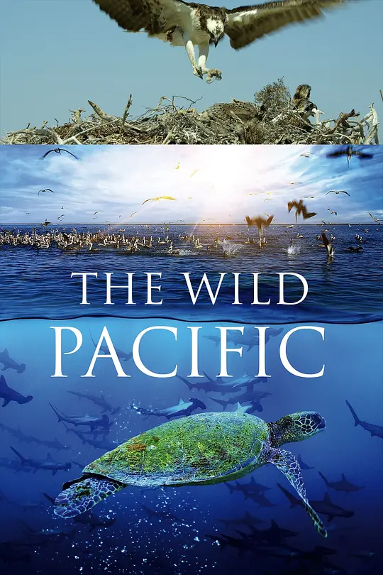狂野太平洋/The Wild Pacific 2016美国纪录片片 - 4K电影下载
