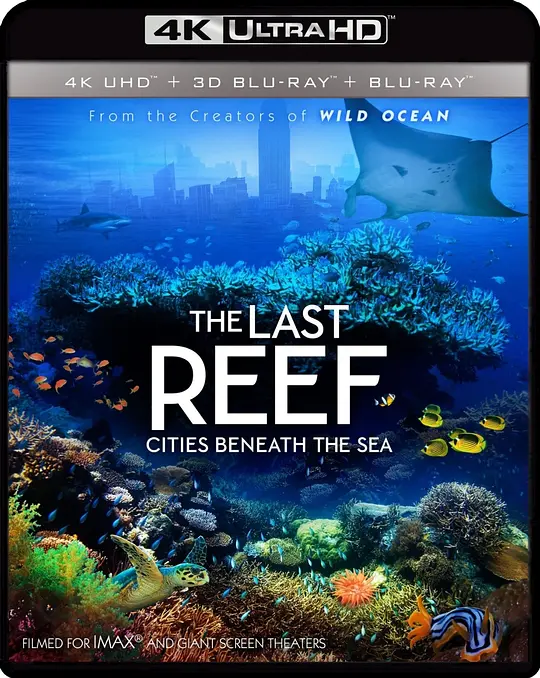 最后的珊瑚礁/The Last Reef: Cities Beneath the Sea 2012美国加拿大墨西哥帕劳法属波利尼西亚巴哈马纪录片短片片[7.7分] - 4K电影下载