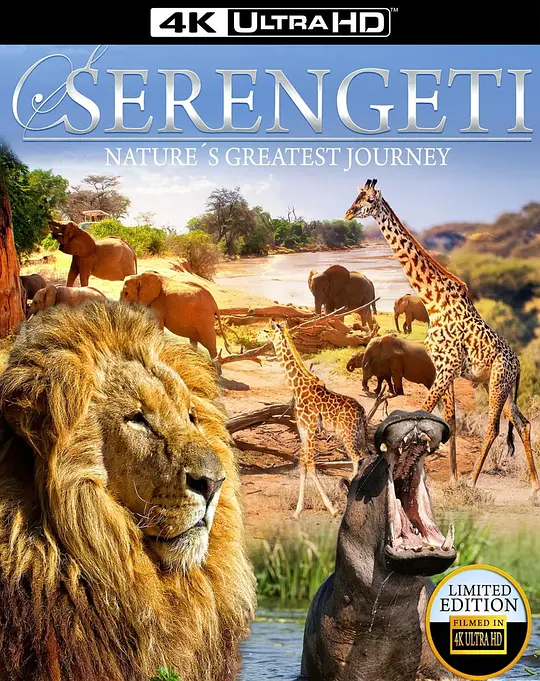 塞伦盖蒂：自然界最壮观的旅程/Serengeti: Nature's Greatest Journey 2015美国纪录片片 - 4K电影下载