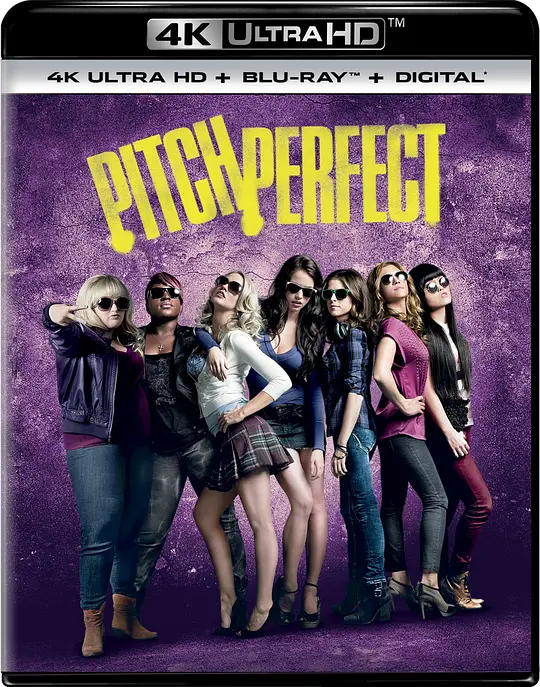 完美音调/Pitch Perfect 2012美国喜剧爱情音乐片[7.5分] - 4K电影下载