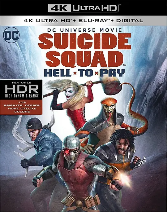 自杀小队：严厉惩罚/Suicide Squad: Hell to Pay 2018美国动作动画片[7.4分] - 4K电影下载