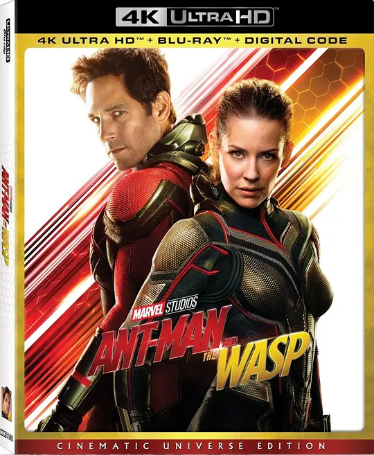 蚁人2：黄蜂女现身/Ant-Man and the Wasp 2018美国动作科幻冒险片[7.2分] - 4K电影下载