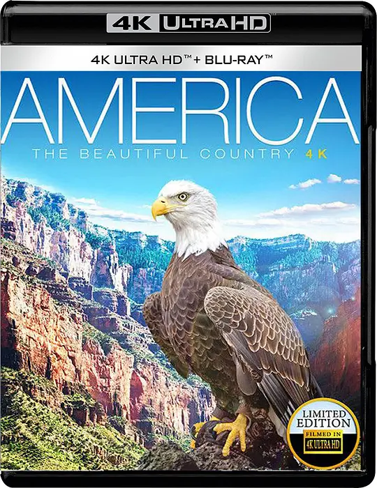 美利坚：美丽的国度/America - The Beautiful Country 2013美国片 - 4K电影下载