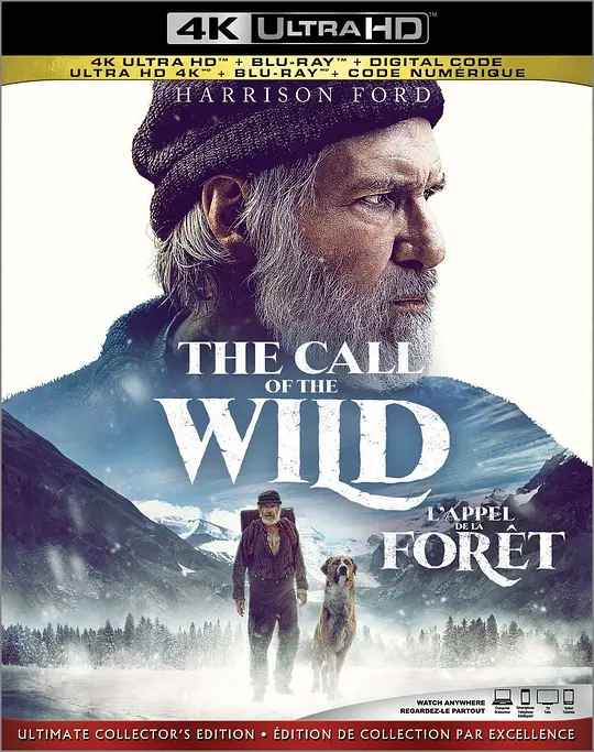 野性的呼唤/The Call of the Wild 2020加拿大美国葡萄牙剧情冒险片[7.0分] - 4K电影下载