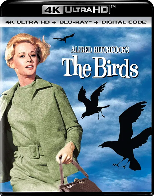 群鸟/The Birds 1963美国悬疑惊悚灾难片[8.1分] - 4K电影下载