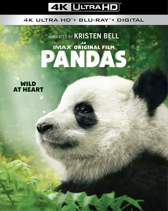 大熊猫/Pandas 2018美国纪录片片[7.7分] - 4K电影下载