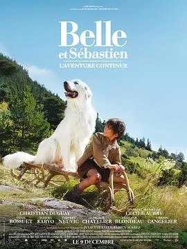 灵犬雪莉：冒险再出发/Belle et Sébastien : l'aventure continue 2015法国剧情冒险片[7.6分] - 4K电影下载