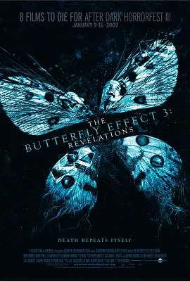 蝴蝶效应3：启示/The Butterfly Effect 3: Revelations 2009美国剧情科幻惊悚片[6.7分] - 4K电影下载