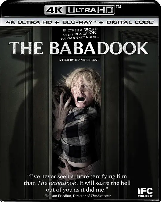 鬼书/The Babadook 2014澳大利亚加拿大惊悚恐怖片[6.5分] - 4K电影下载