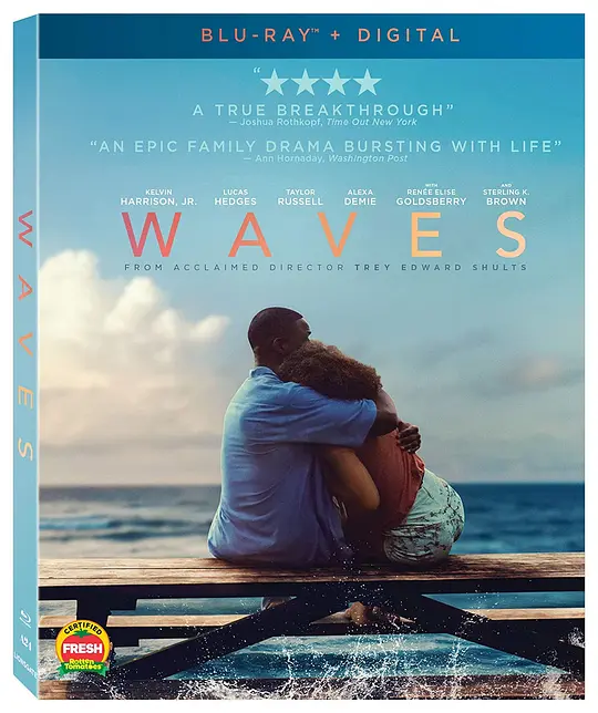 浪潮/Waves 2019美国加拿大剧情爱情片[6.9分] - 4K电影下载