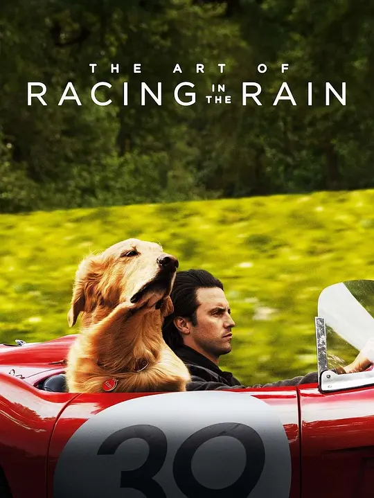我在雨中等你/The Art of Racing in the Rain 2019美国剧情喜剧爱情片[8.4分] - 4K电影下载
