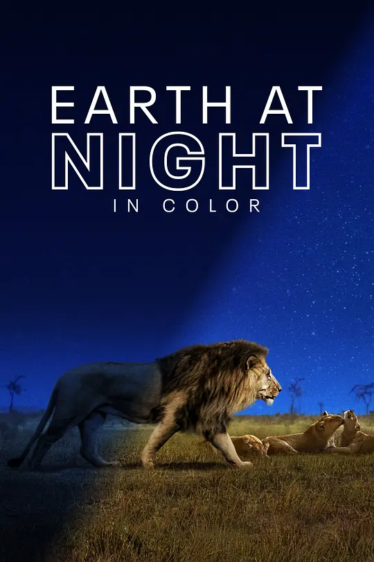 夜色中的地球 第一季/Earth at Night in Color 2020美国纪录片片[9.3分] - 4K电影下载