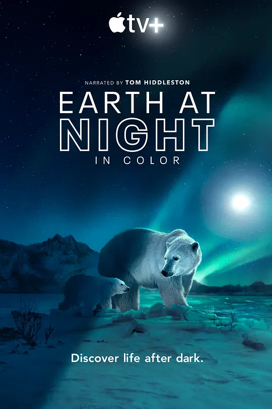 夜色中的地球 第二季/Earth at Night in Color 2021美国纪录片片[9.2分] - 4K电影下载