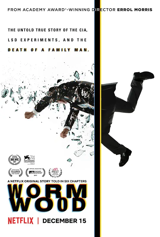 苦艾草/Wormwood 2017美国纪录片传记片[7.2分] - 4K电影下载