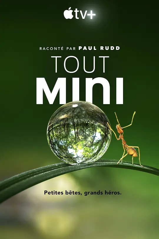 小小世界 第一季/Tiny World 2020美国纪录片片[9.6分] - 4K电影下载