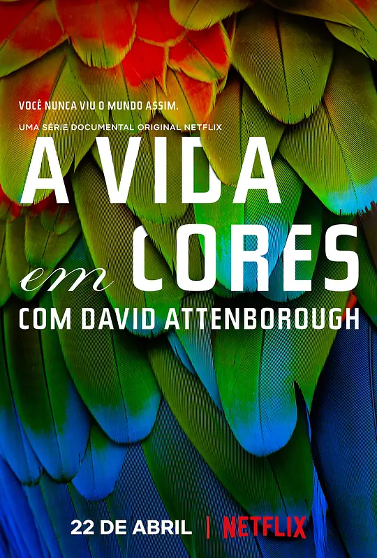 生命之色/Life In Colour 2021英国纪录片片[9.1分] - 4K电影下载