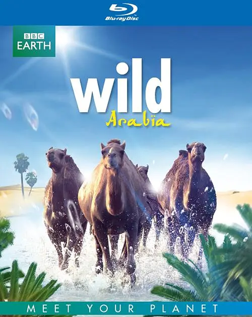 狂野阿拉伯/Wild Arabia 2013英国纪录片冒险片[8.7分] - 4K电影下载