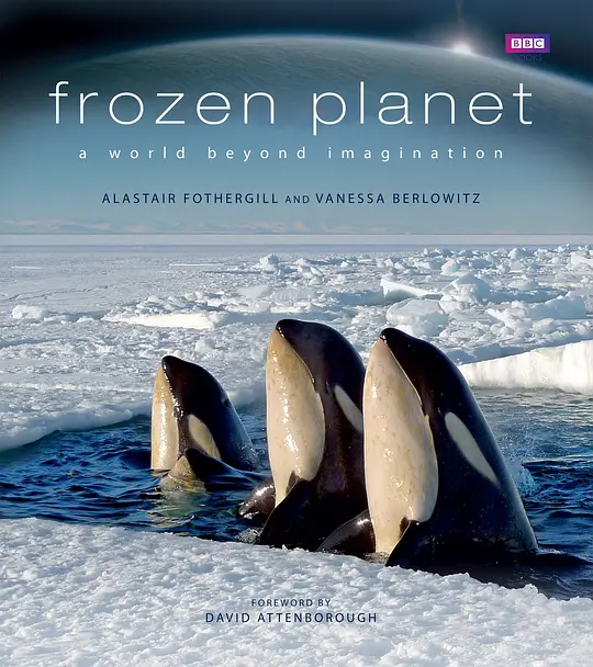 冰冻星球 第一季/Frozen Planet 2011英国纪录片片[9.7分] - 4K电影下载