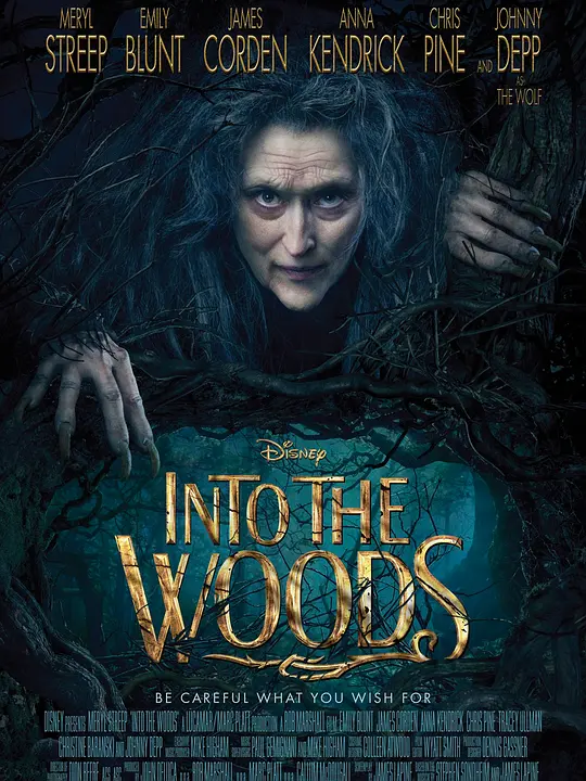 魔法黑森林/Into the Woods 2014美国英国加拿大喜剧歌舞奇幻片[6.0分] - 4K电影下载