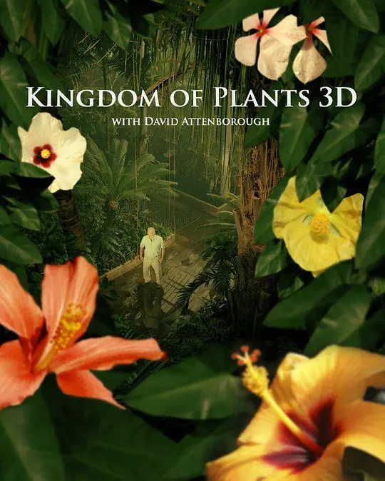 植物王国/Kingdom of Plants 3D 2012英国纪录片片[9.5分] - 4K电影下载