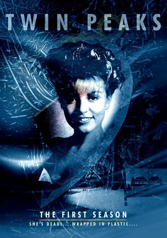 双峰 第一季/Twin Peaks 1990美国剧情科幻悬疑片[9.0分] - 4K电影下载
