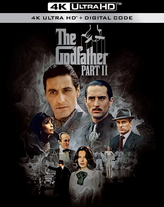 教父2/The Godfather: Part II 1974美国剧情犯罪片[9.3分] - 4K电影下载