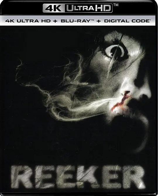 雾人/Reeker 2005美国悬疑恐怖片[5.8分] - 4K电影下载