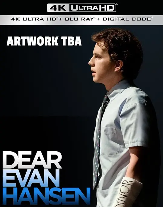 致埃文·汉森/Dear Evan Hansen 2021美国日本大陆剧情歌舞片[6.5分] - 4K电影下载