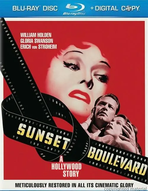 日落大道/Sunset Blvd. 1950美国剧情黑色电影片[8.8分] - 4K电影下载