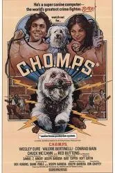 家庭卫士 1979美国喜剧片 - 4K电影下载