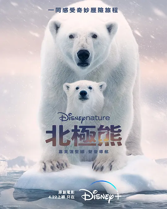 北极熊/Polar Bear 2022美国纪录片片[8.5分] - 4K电影下载