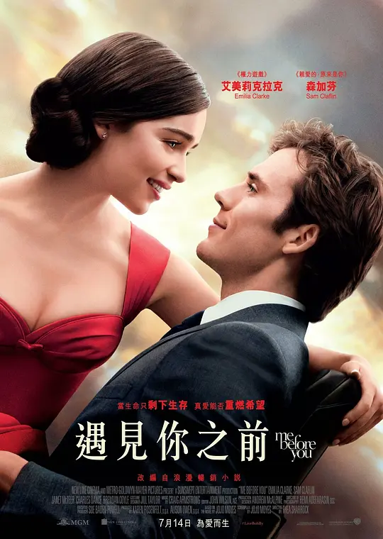 遇见你之前/Me Before You 2016英国美国剧情爱情片[8.1分] - 4K电影下载