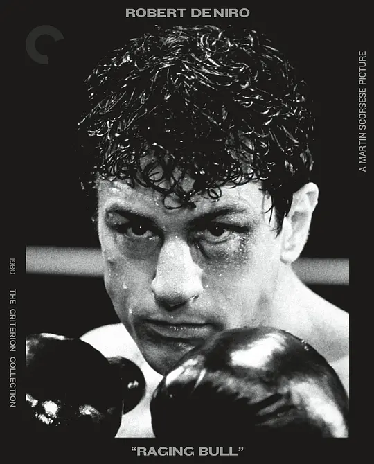 愤怒的公牛/Raging Bull 1980美国剧情传记运动片[8.4分] - 4K电影下载