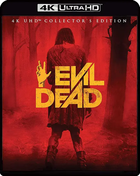 鬼玩人 /Evil Dead 2013美国惊悚片[6.6分] - 4K电影下载