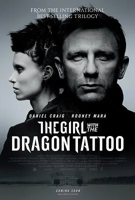 龙纹身的女孩/The Girl with the Dragon Tattoo 2011美国瑞典挪威剧情悬疑惊悚片[8.1分] - 4K电影下载