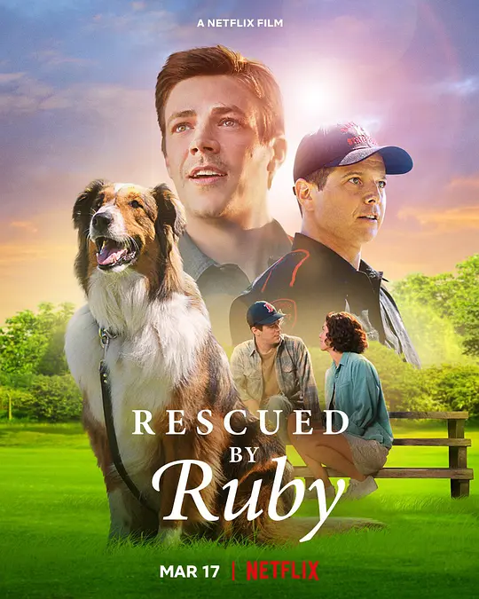 义犬救主/Rescued by Ruby 2022美国剧情儿童片[7.3分] - 4K电影下载