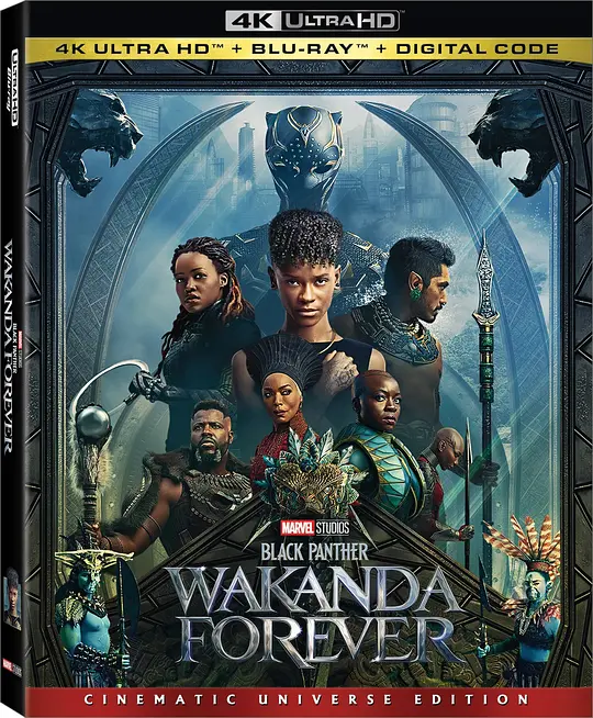 黑豹2/Black Panther: Wakanda Forever 2022美国剧情动作科幻片[5.4分] - 4K电影下载