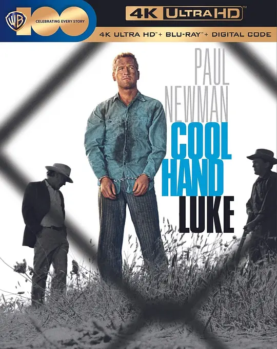 铁窗喋血/Cool Hand Luke 1967美国剧情犯罪片[8.0分] - 4K电影下载