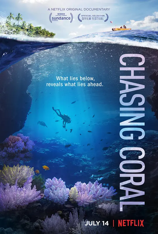 追逐珊瑚/Chasing Coral 2017美国纪录片片[9.0分] - 4K电影下载