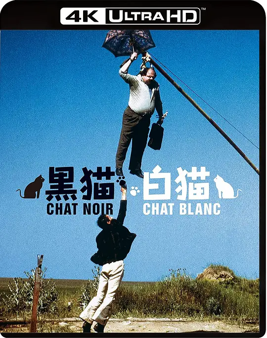 黑猫白猫/Црна мачка, бели мачор 1998南斯拉夫法国德国奥地利希腊喜剧爱情音乐片[8.5分] - 4K电影下载