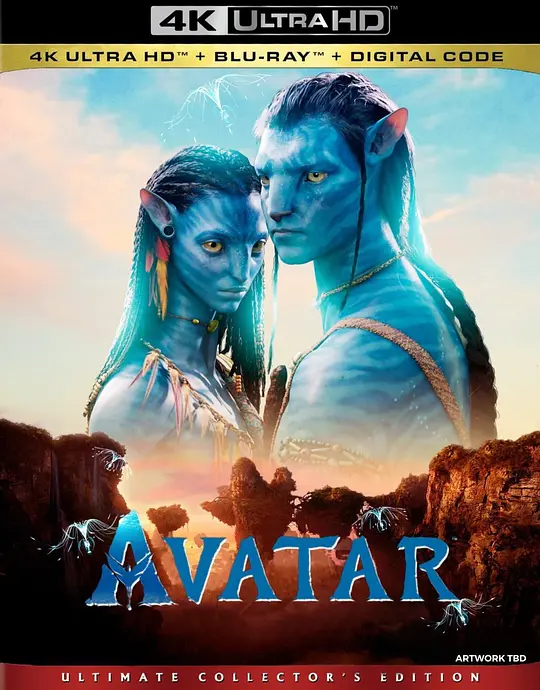 阿凡达/Avatar 2009美国动作科幻冒险片[8.8分] - 4K电影下载