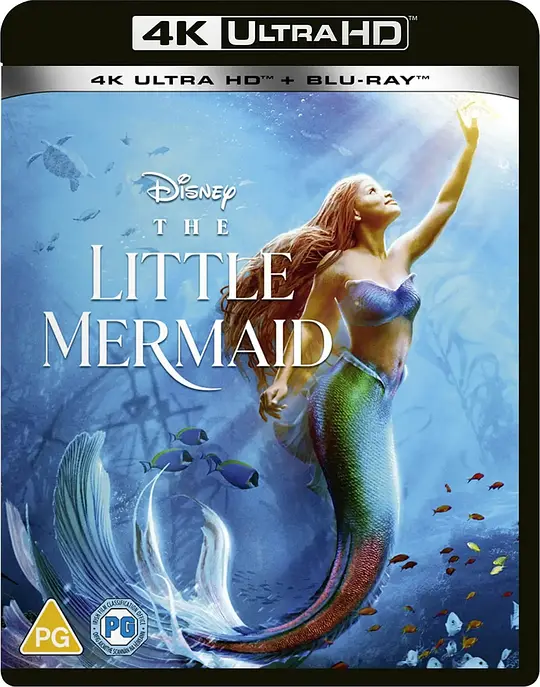 小美人鱼/The Little Mermaid 2023美国爱情歌舞奇幻片[4.7分] - 4K电影下载