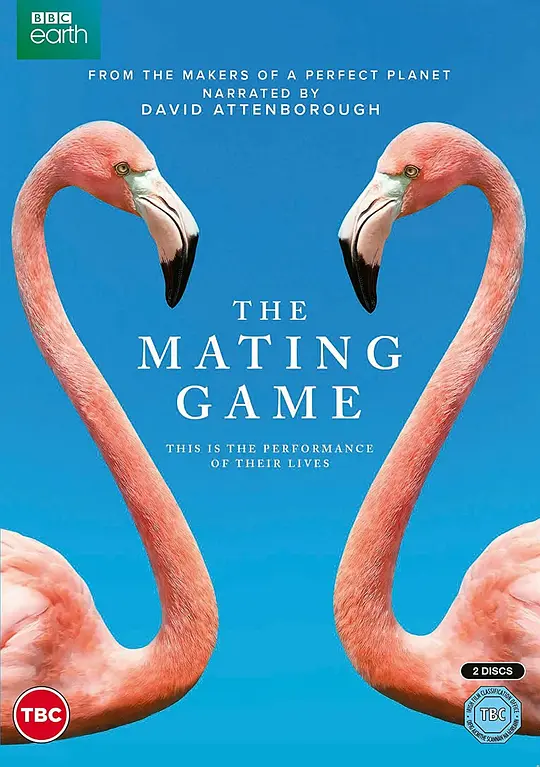 求偶游戏/The Mating Game 2021英国纪录片片[9.4分] - 4K电影下载