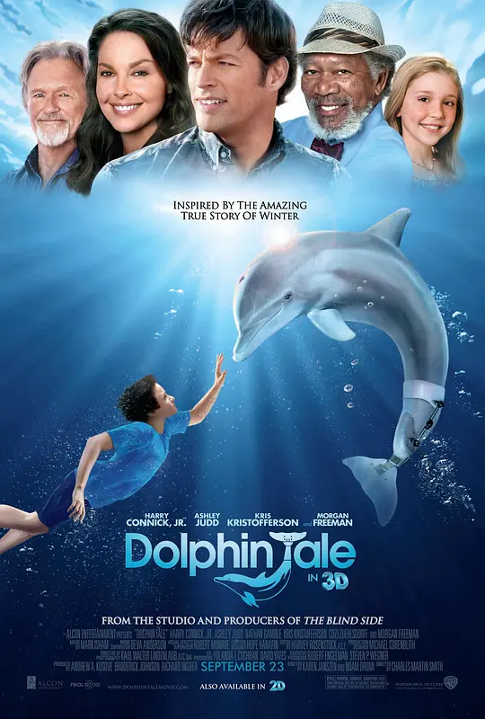 海豚的故事/Dolphin Tale 2011美国剧情家庭片[7.9分] - 4K电影下载