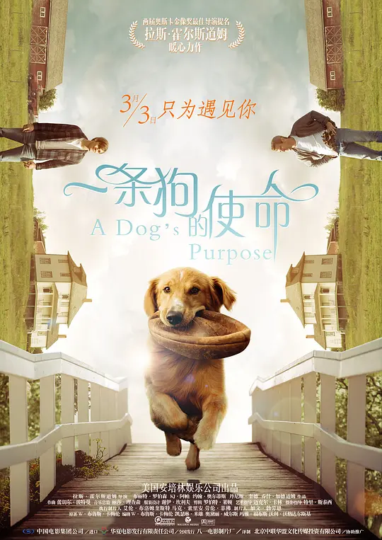一条狗的使命/A Dog's Purpose 2017美国剧情喜剧家庭片[7.7分] - 4K电影下载